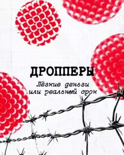 Предлагают быстрый заработок за пару переводов или просят оформить банковскую карту «для знакомого»?